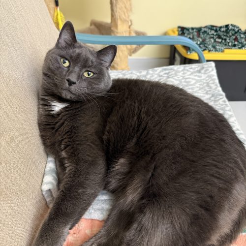 Photo of Layla Mae