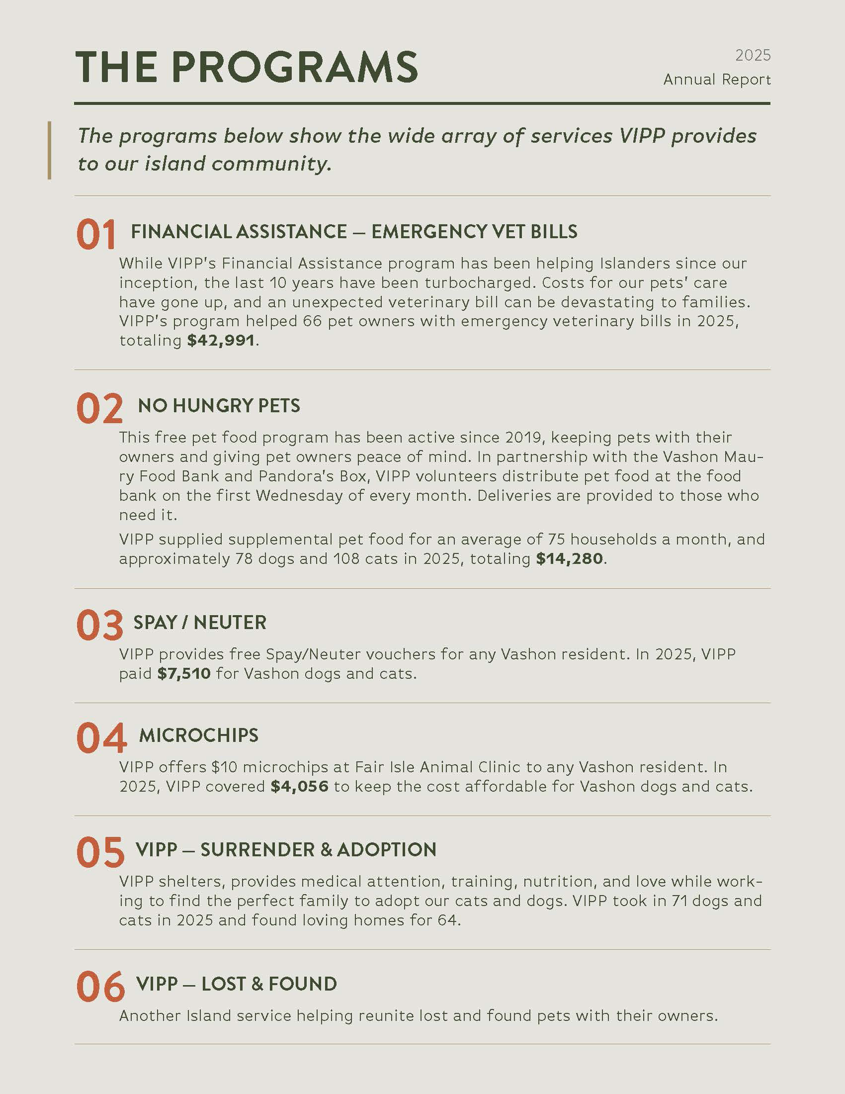 ViPPFinancialreportFinal2_Page_3